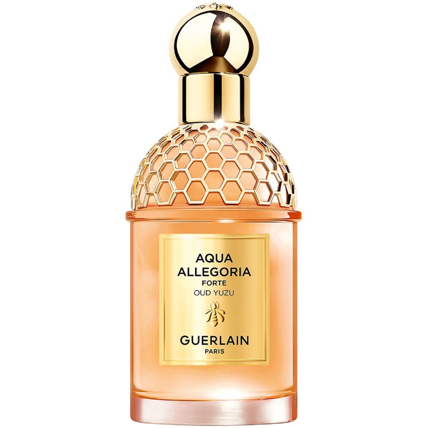AQUA ALLEGORIA FORTE OUD YUZU EAU DE PARFUM